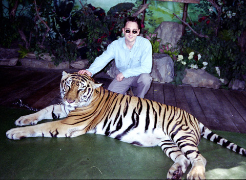 thailand - nice kitty.jpg